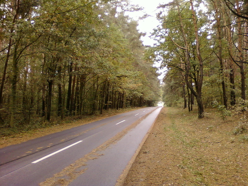 Szosa Aleksandrów - Parzęczew