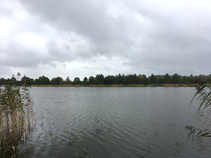 Widok na Jezioro Bąblino