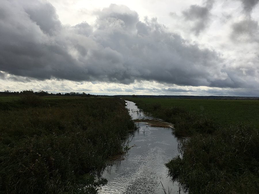 Kanał na łąkach przed śluzą Walkowice