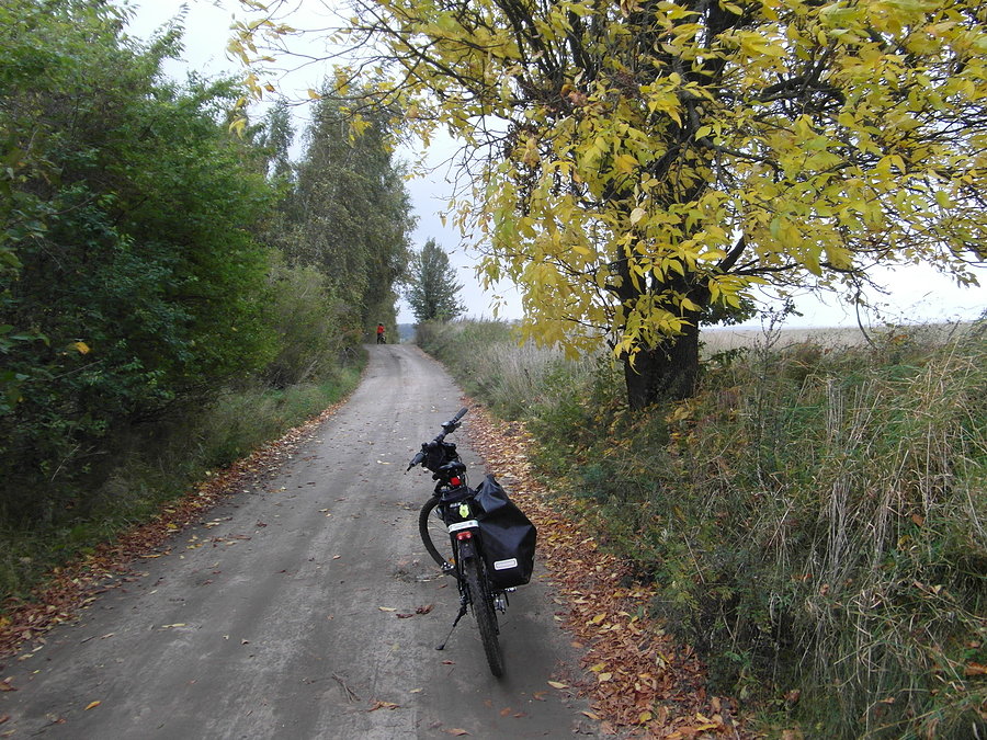 Kociewie na rowerze