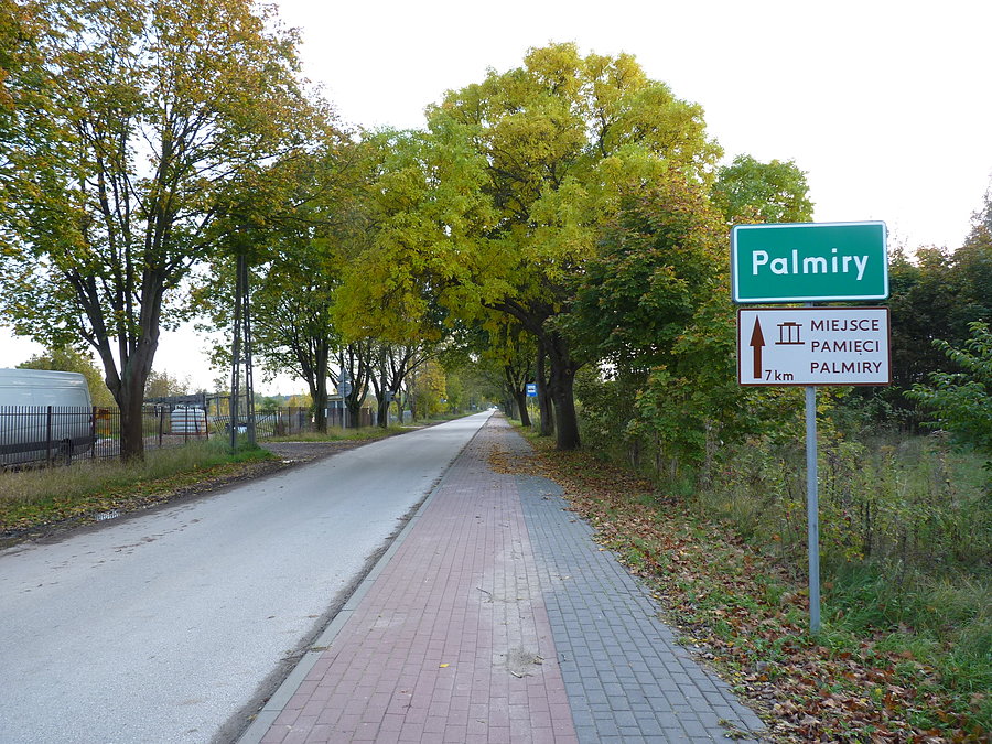 Dojazd do Palmir