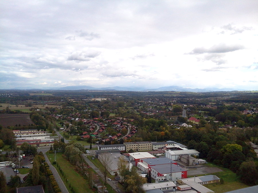 Widok z wieży