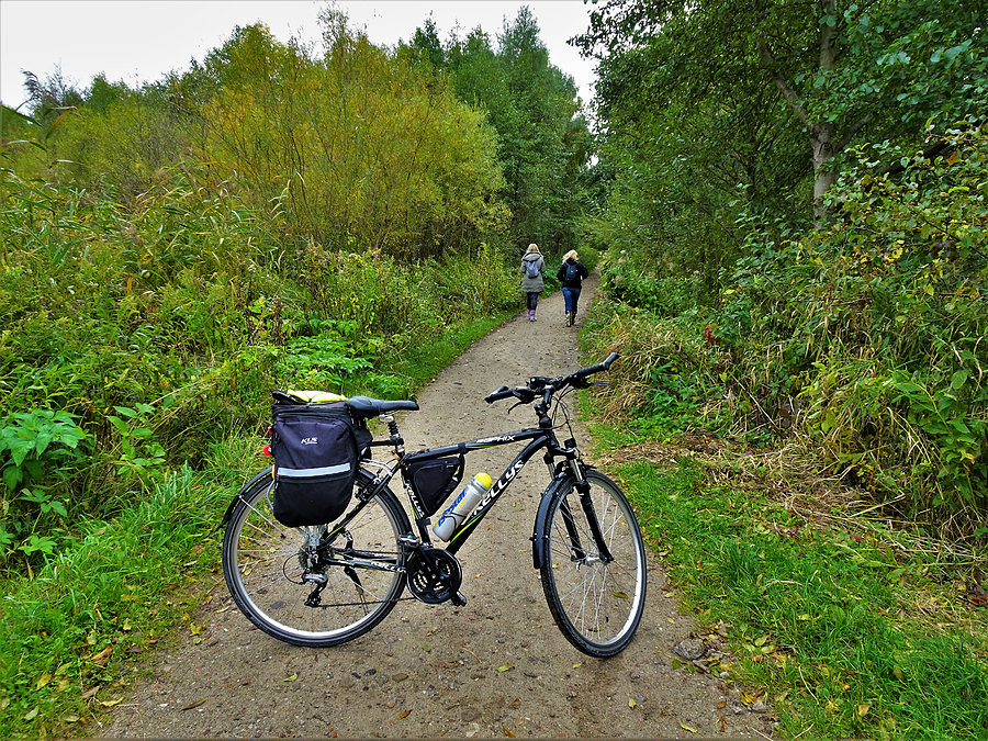 Wycieczka nad morze - Mikoszewo