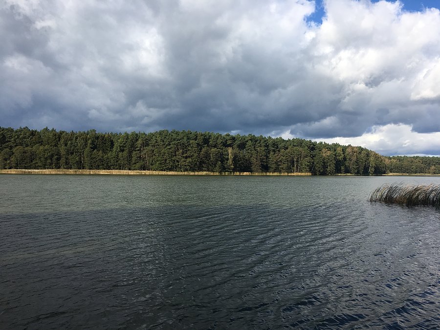 Widok na Jezioro Białe