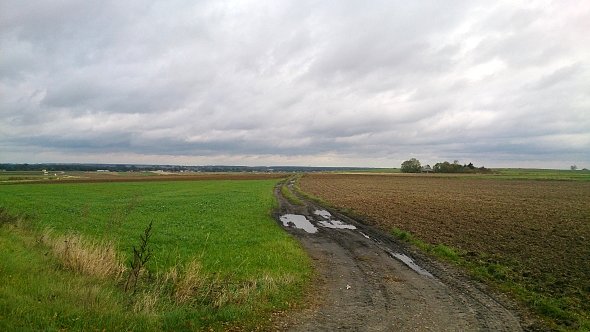 Pola w Tomaszówce