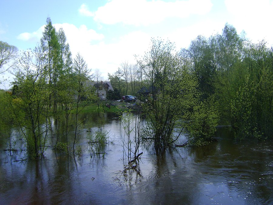 Wysoka woda na Czarnej Malenieckiej w Dąbrowie nad Czarną