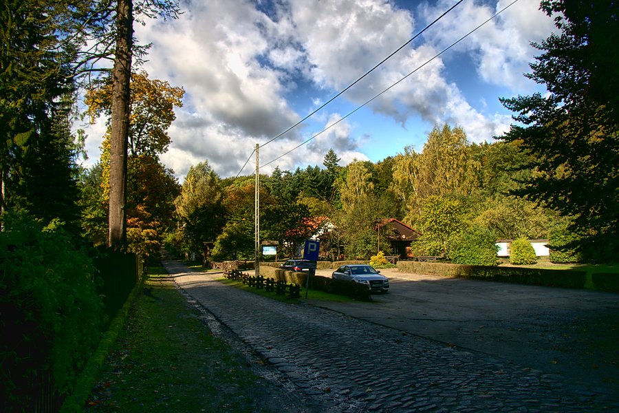 Przy ogrodzie dendrologicznym w Glinnej