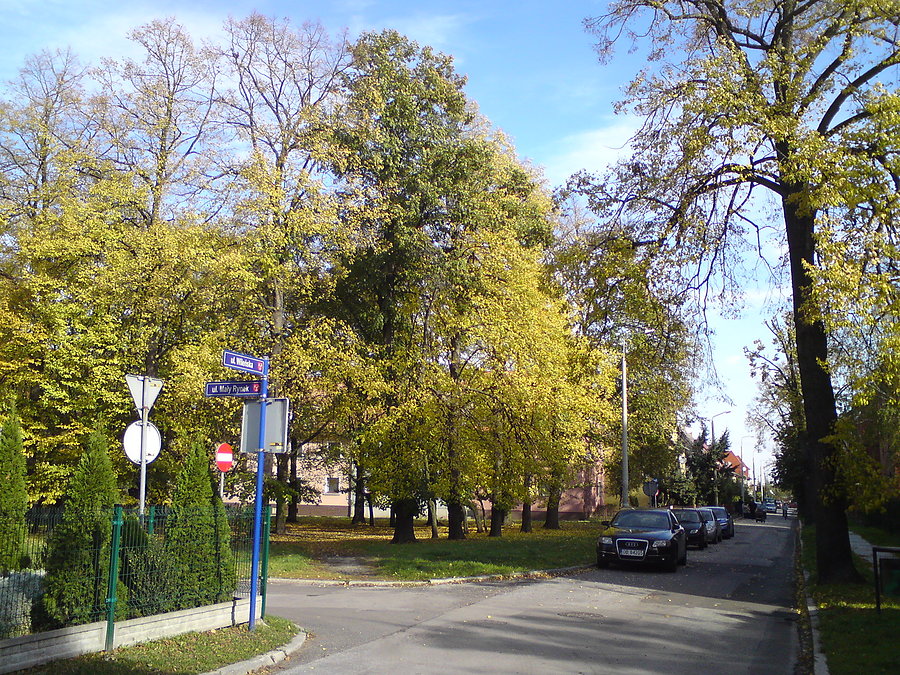 Żółto na Małym Rynku w Brzegu