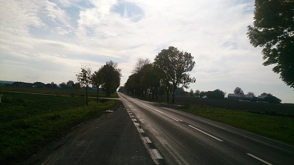 Droga na Bychawę