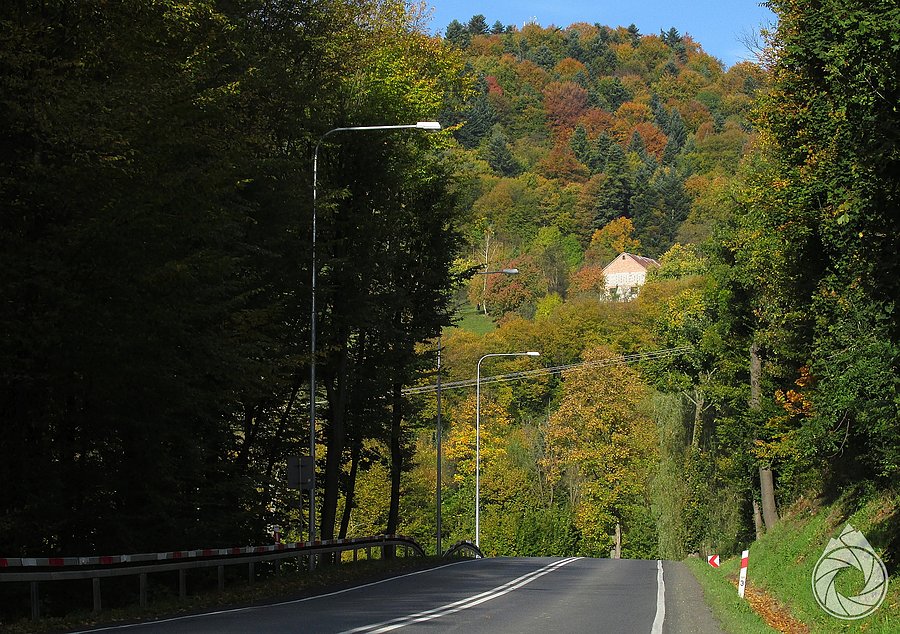 Jesień szymbarska