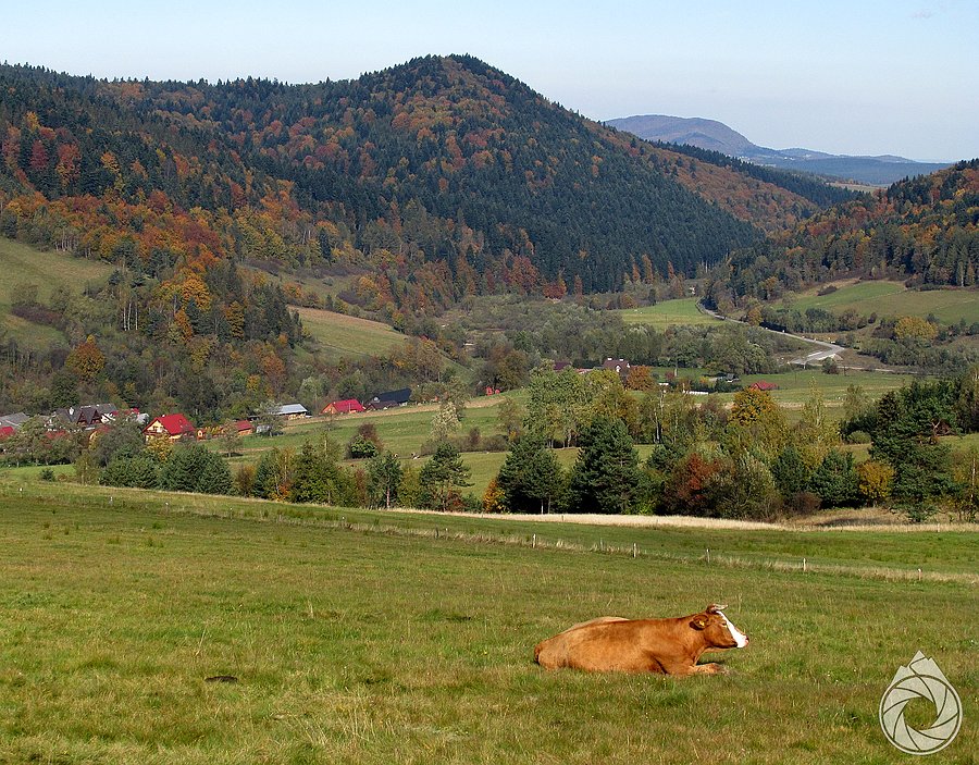 Spokój nad doliną