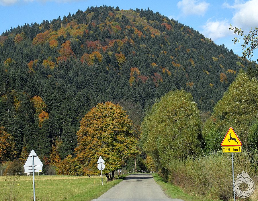 Jodlowa Banicka Góra