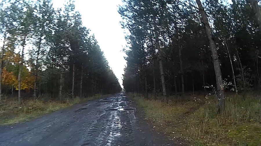 Trochę błota w lesie