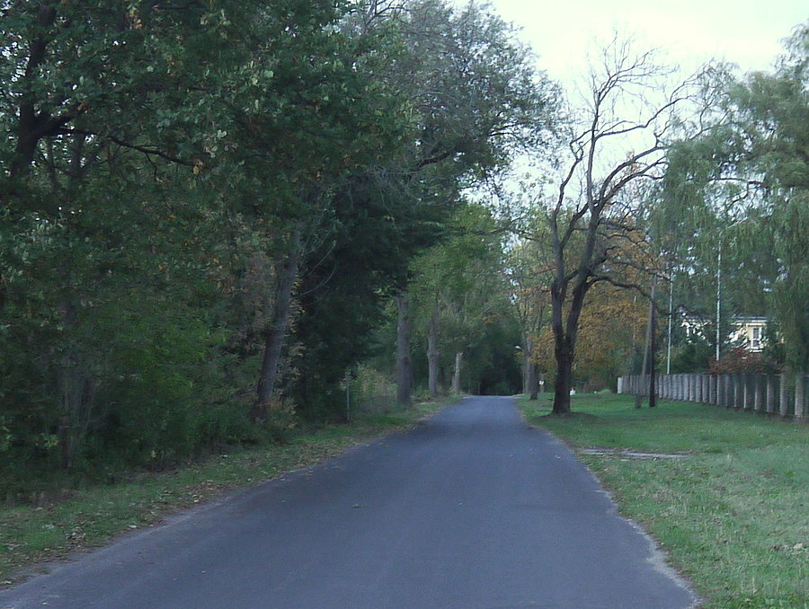 Skwierzyna, ul. Starodworska