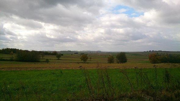 Widok na pola