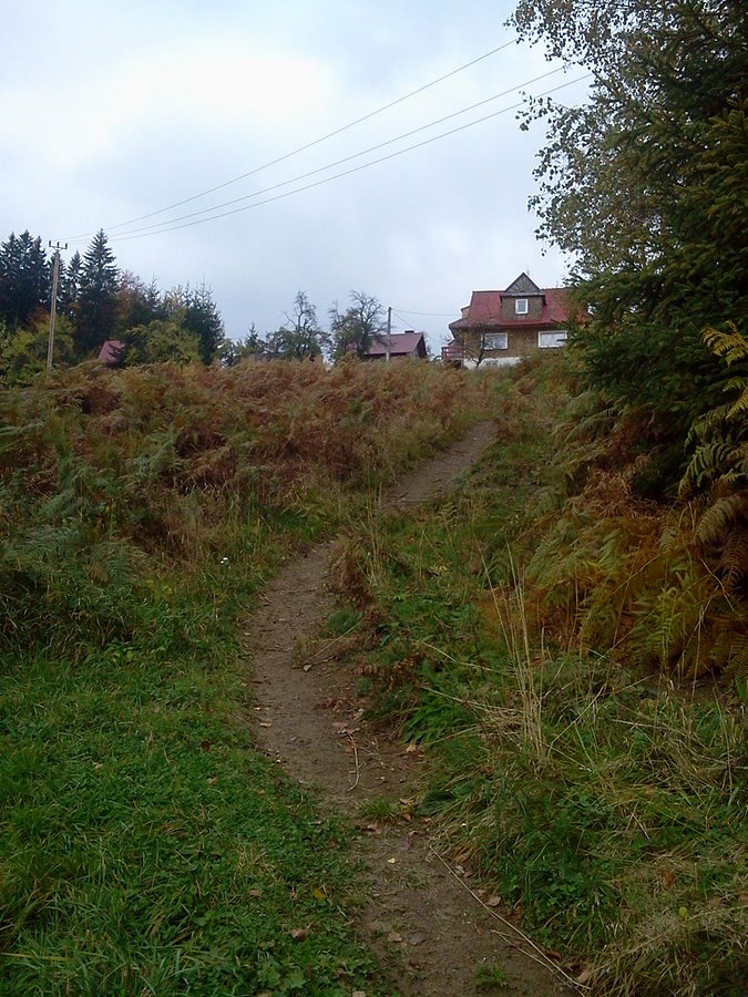 Zjeździk
