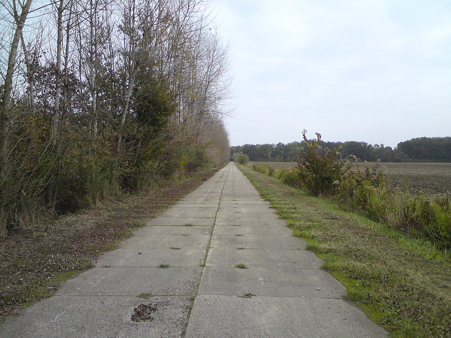 Betonowa autostrada