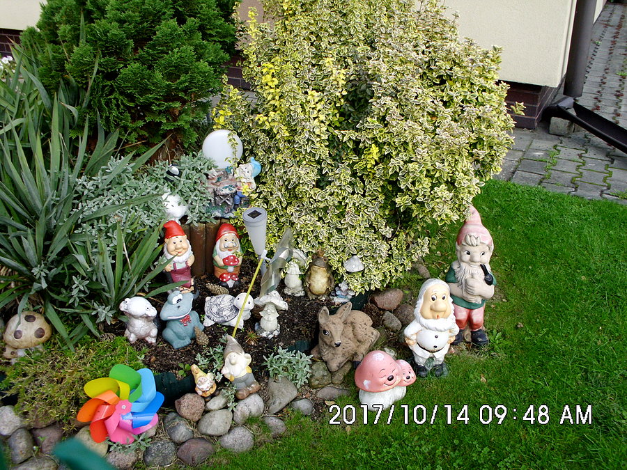 Krasnoludkowo