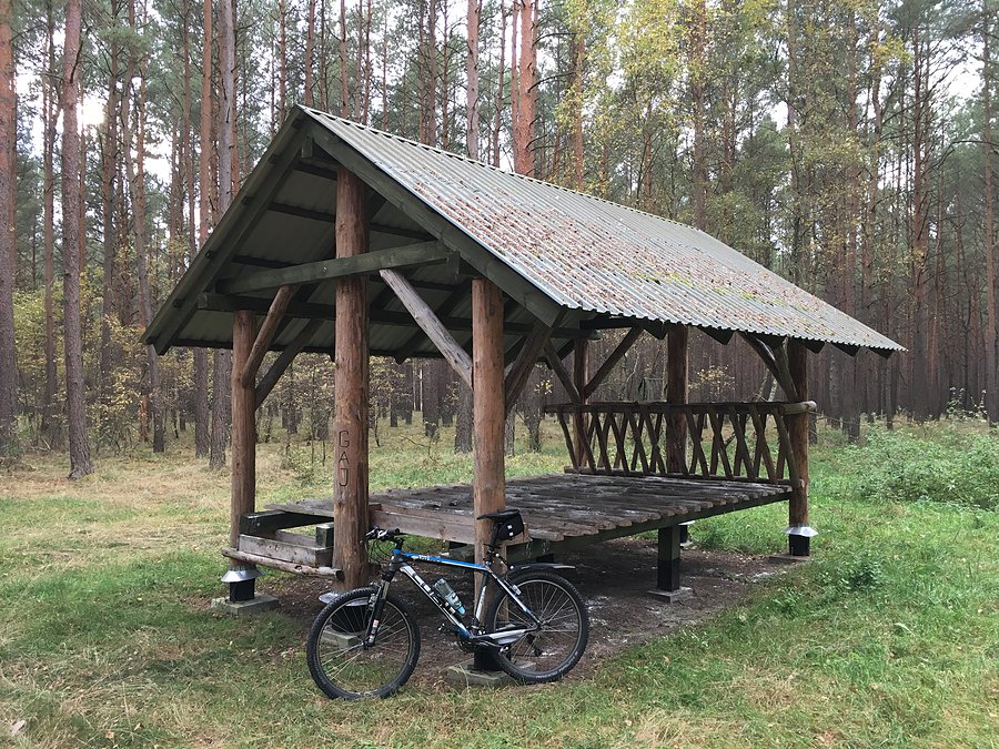 Przy paśniku