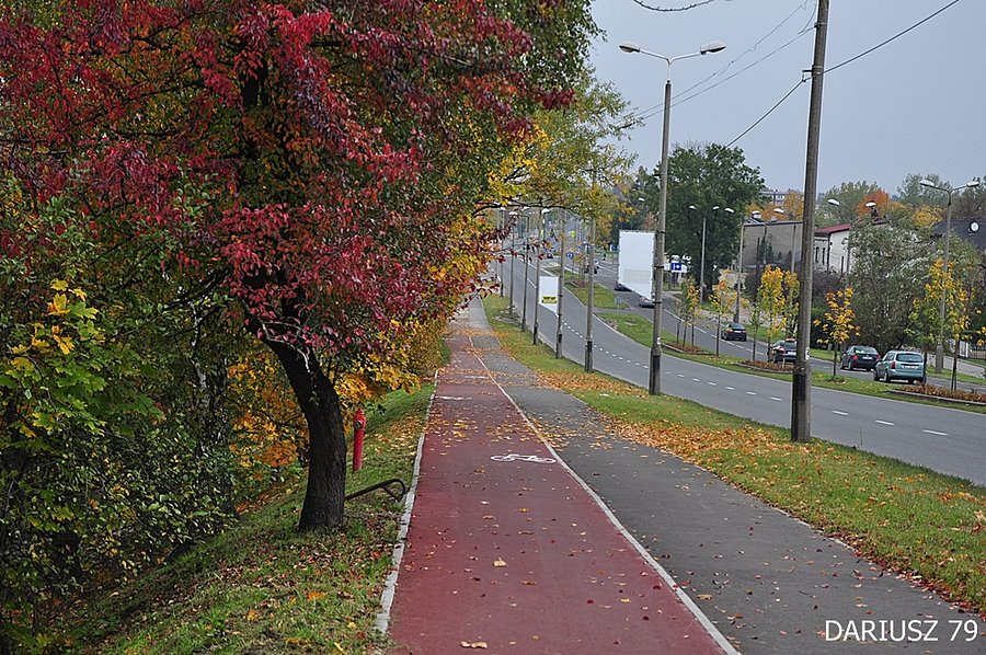 Sosnowiec Zagórze - droga rowerowa