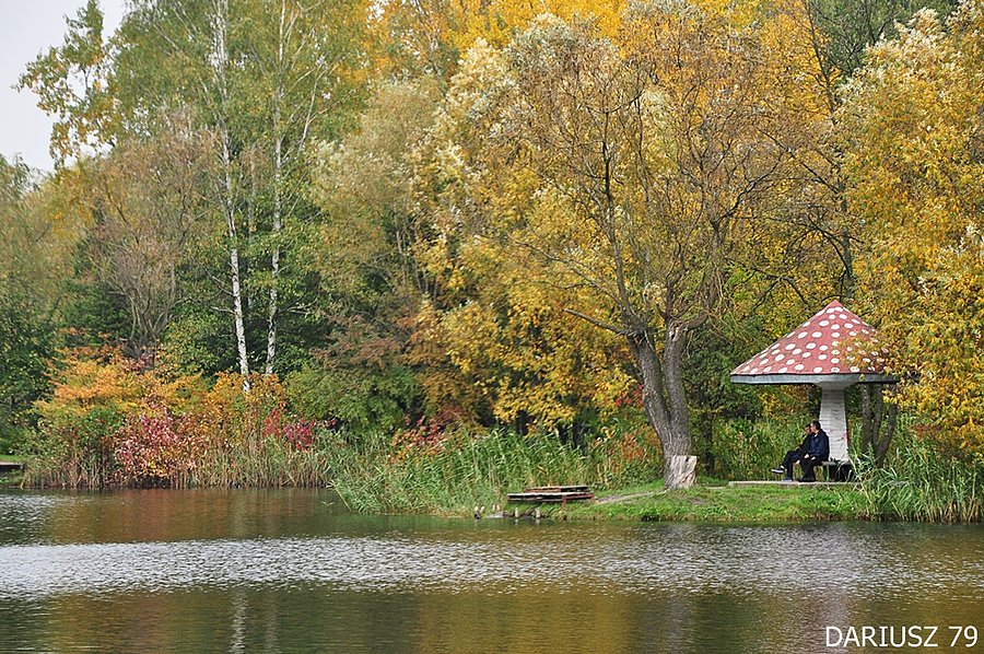 Sosnowiec Kazimierz - Park Miejski Imienia Jacka Kuronia