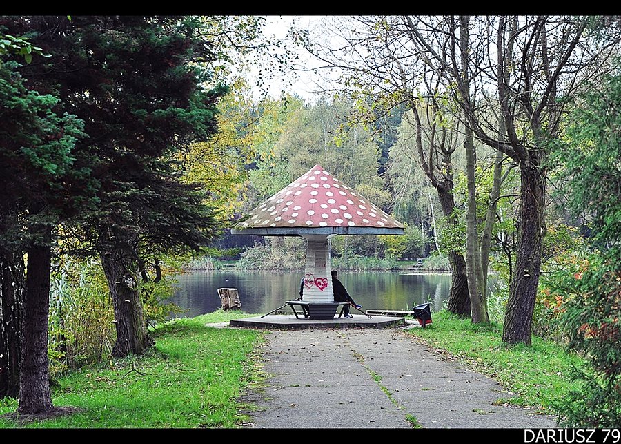 Sosnowiec Kazimierz - Park Miejski Imienia Jacka Kuronia
