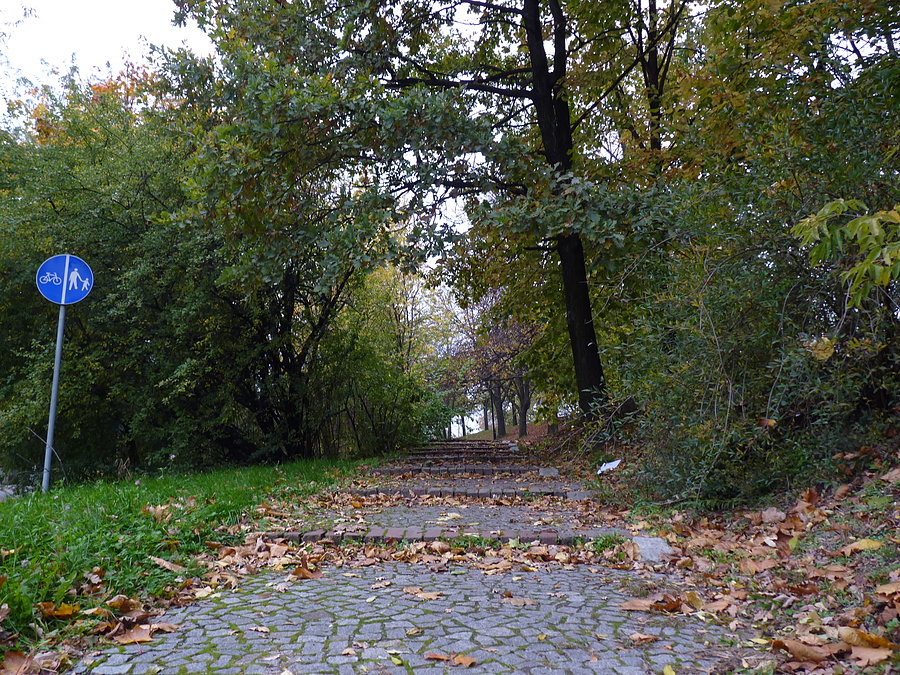 Schody z jesienią w tle