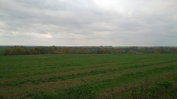 Pola w Kiełczewicach