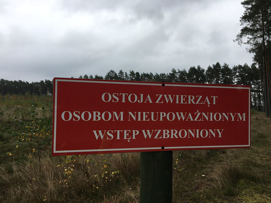 Ostoja zwierzyny