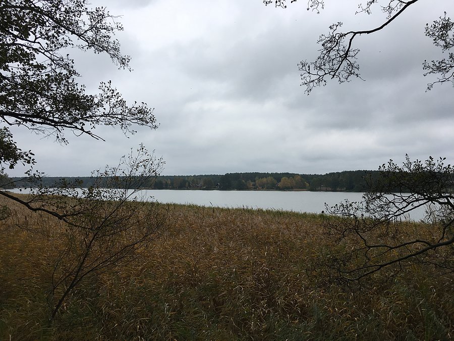 Widok na Jezioro Białe od strony północnej