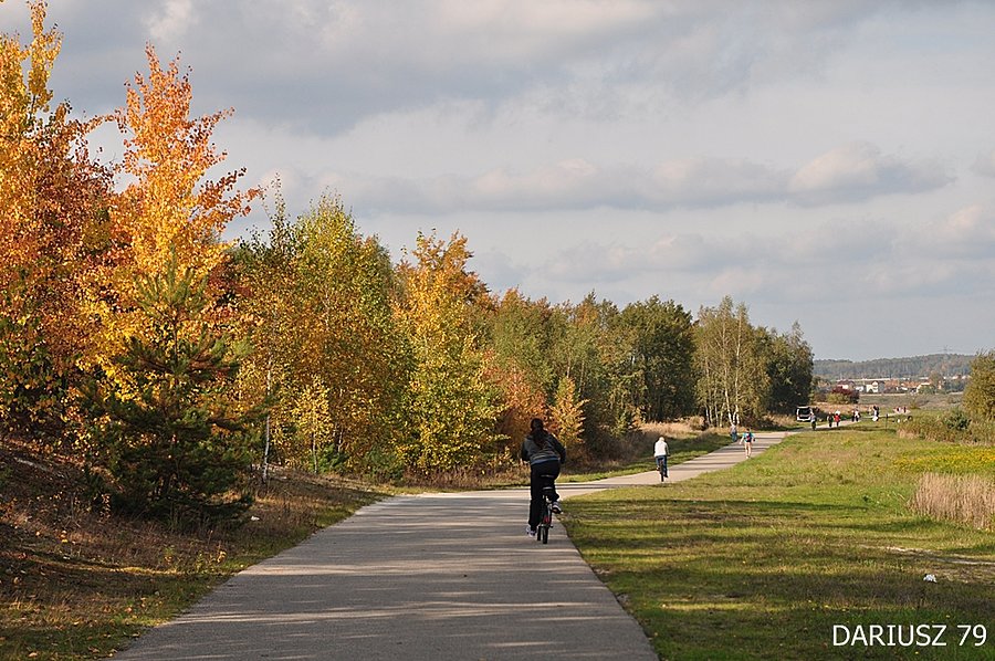 Pogoria 4 - Zbiornik wodny - Droga rowerowa