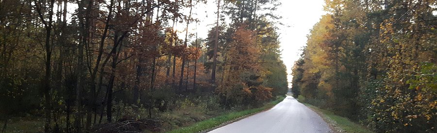 Gdzieś po drodze