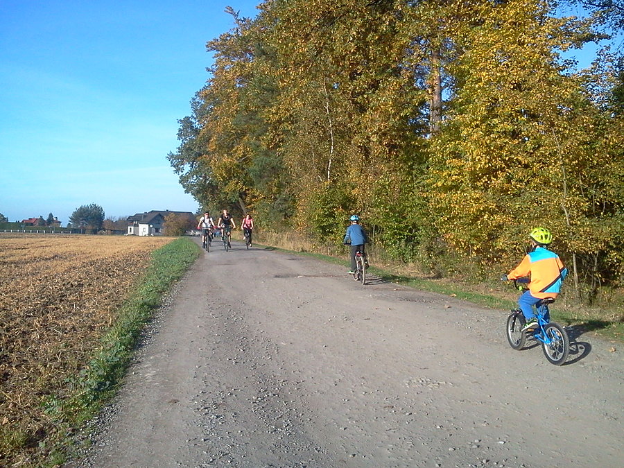 Brzezówka