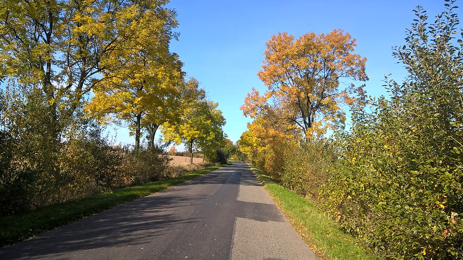 Piękna jesień