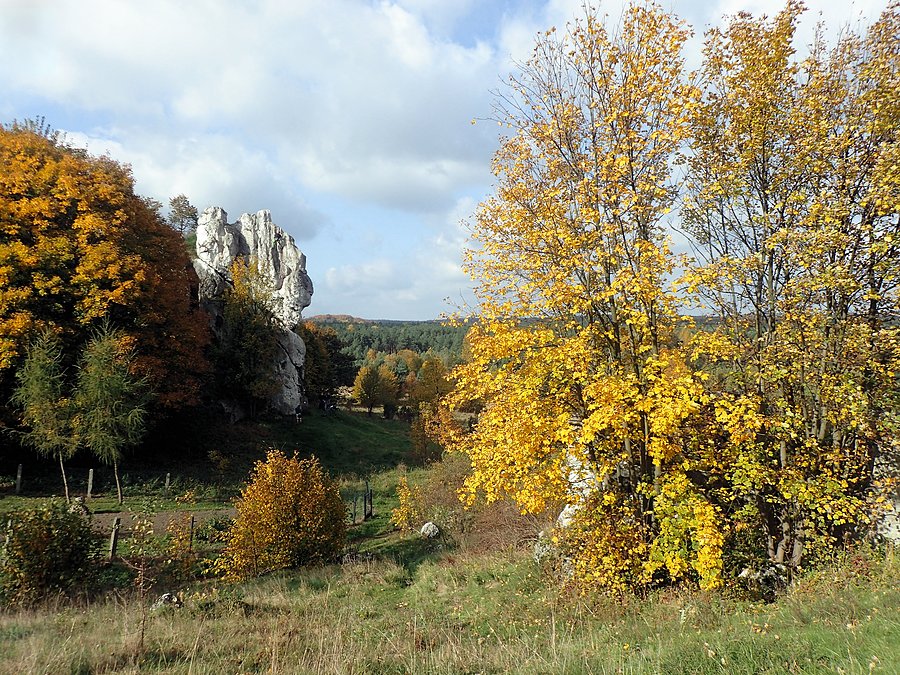 Strażnica w Łutowcu