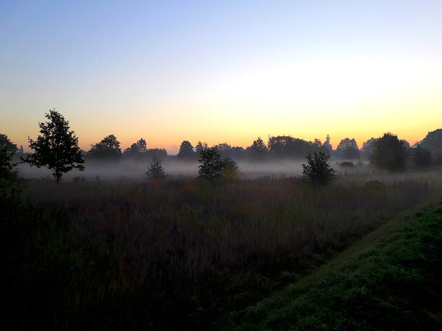 Poranne mgły nad Wartą