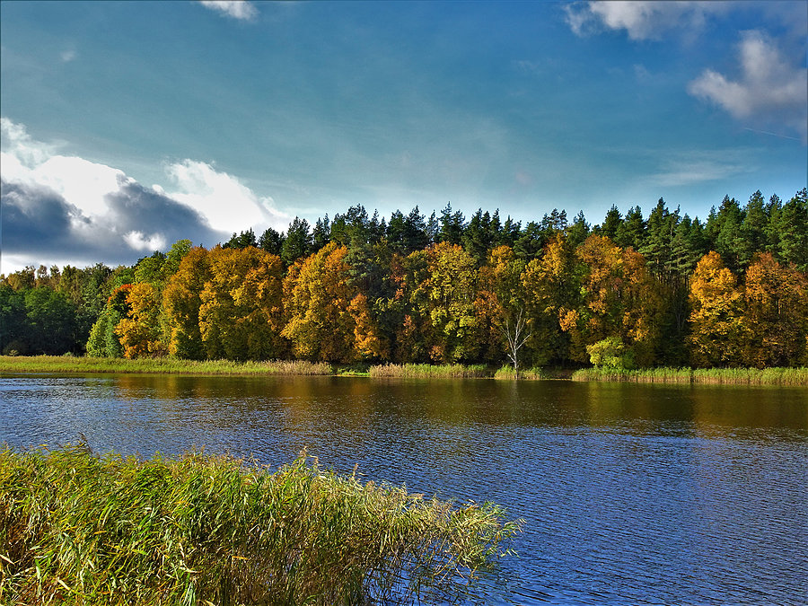 Jesień na rowerze - Kociewie