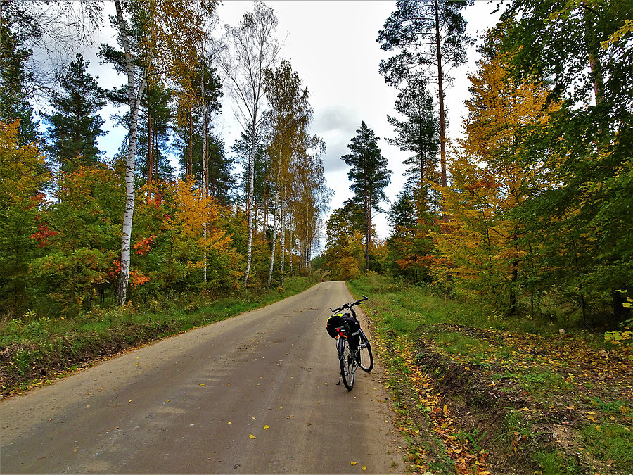 Jesień na rowerze - Kociewie