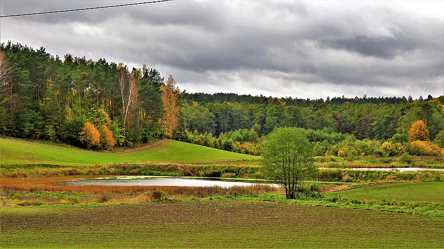 Jesień na rowerze - Kociewie
