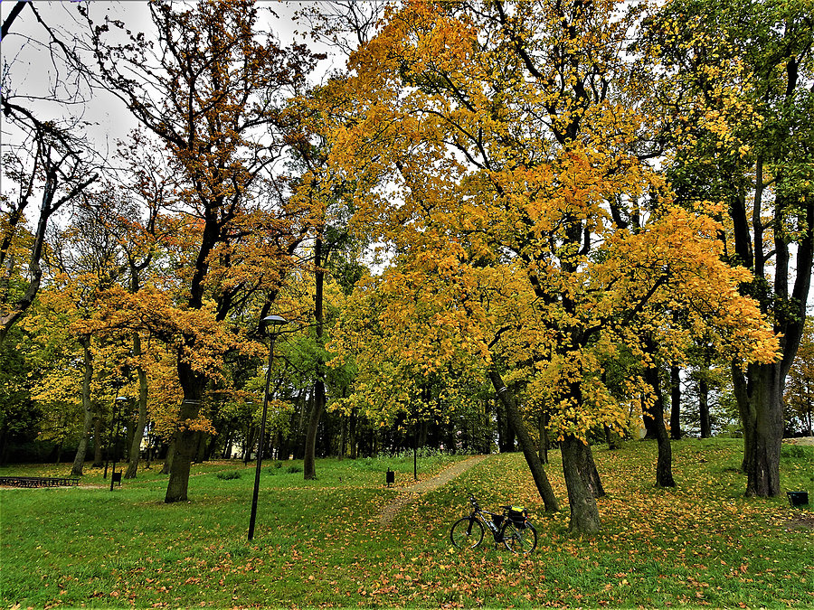 Jesień na rowerze - Kociewie