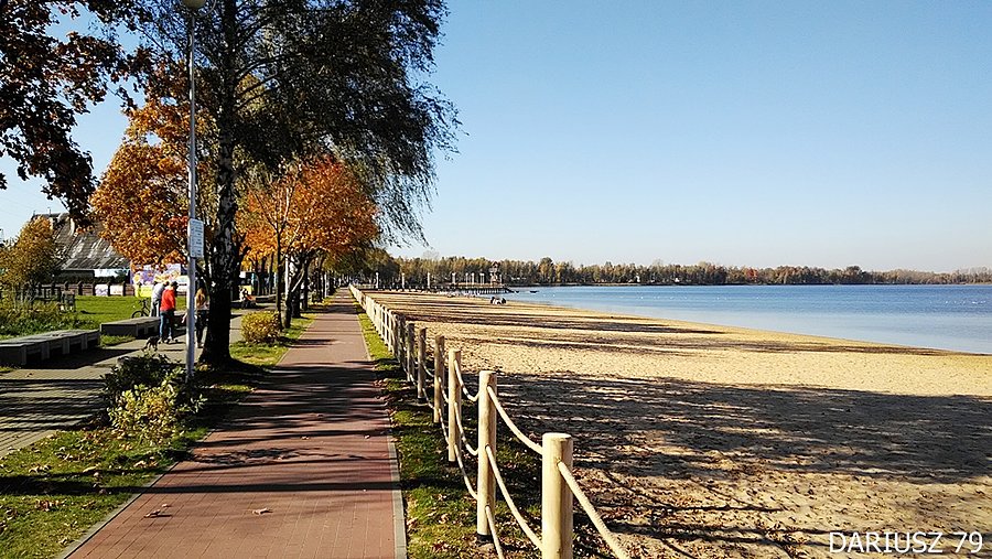 Dąbrowa Górnicza - Pogoria 3 - Jesień