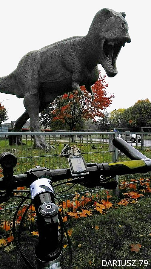 Sosnowiec - Tyranozaur - Pogoń