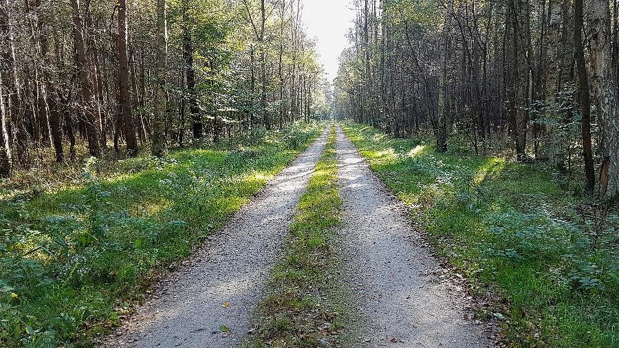 Dojazd pożarowy 50 do Rekowa