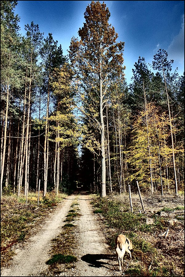 Stobrwski Park Krajobrazowy