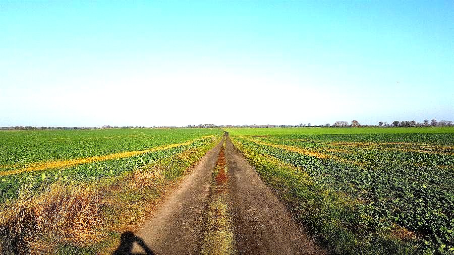 Żużlówka na Dębicę © strus