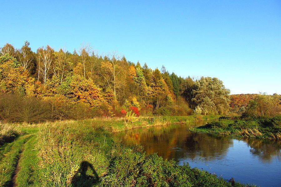 Warta jesienią
