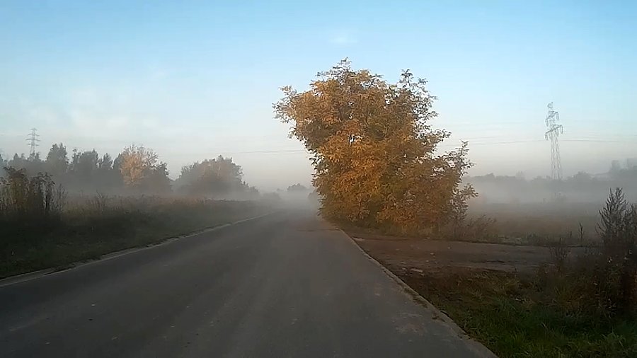 Mgła jakby gęstniała