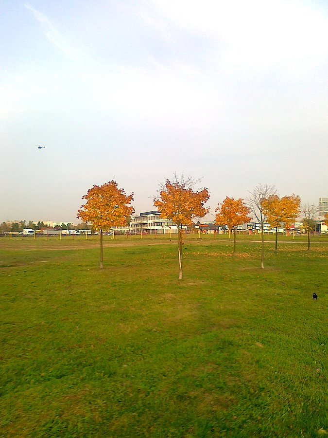 Barwy jesieni