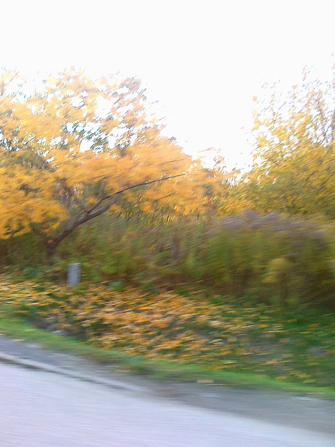 Barwy jesieni