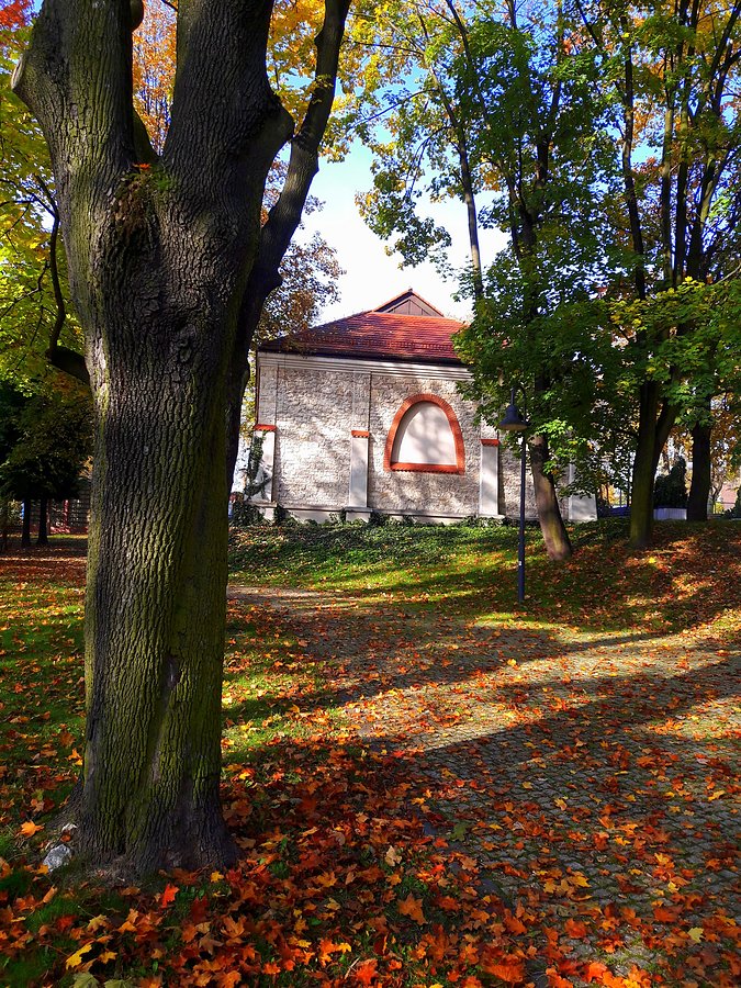 Jesień w Parku Staszica VII